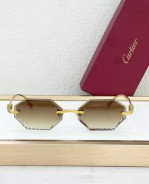 Picture of Cartier Sunglasses _SKUfw79280713fw
